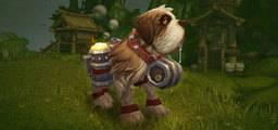 Alterac Brew Pup Yorumları