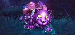 Brightpaw Yorumları